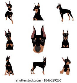 Vector image. The illustration shows different dogs in different breeds are hand-drawn. Suitable for coloring pages, pet shop or pet lovers.