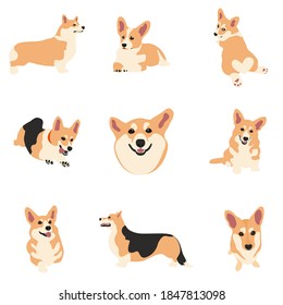 Vector image. The illustration shows dogs in different breeds are hand-drawn. Suitable for coloring pages, pet shop or pet lovers.