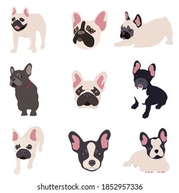 Imagen vectorial. La ilustración muestra que los perros de diferentes razas son dibujados a mano. Ideal para colorear páginas, tiendas de mascotas o amantes de las mascotas.