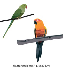 vector image. the illustration shows two cute parrots of different colors, they are sitting on a branch