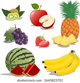 vector image illustrations of various types of fresh fruits, various types of fresh fruits