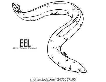 Vector image of ink line art eel on a white background.