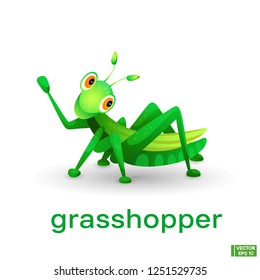 Vector image of an insect. Cute green cartoon character grasshopper.