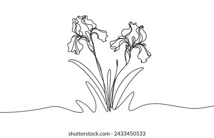 Vector image of iris flower, in linear style.