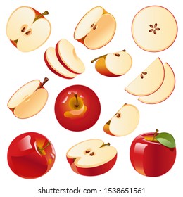 Vector image Isolated drawing apples on a white background, red apples, apple slices, apple slices, sliced apples.