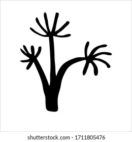 Vector image isolated on a white background, doodle style. The palm is linear. Grows in a hot area.Washingtonia robusta, the mexican fan palm or mexican washingtonia trees group silhouette. Coloring.