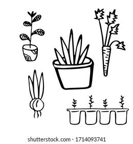 Vector image isolated on a white background. In doodle style. Seth cottage. Морковка, горшочное растение, рассада, луковичное растение. Coloring, stickers, garden products.