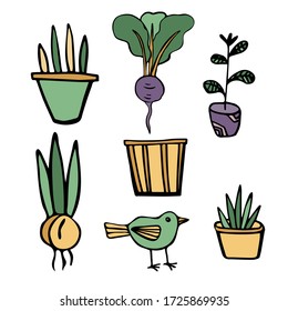 Vector image isolated on a white background. In doodle style. Seth garden. Bulbous plants, flowers and herbs in pots, birds and radishes. For coloring books, stickers, decoration of garden plots.