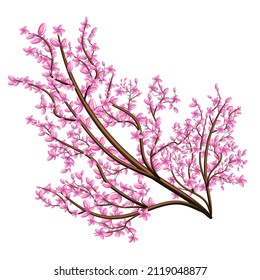 Vector image isolated on white background. Branch in pink flowers. Sakura. Concept. EPS 10