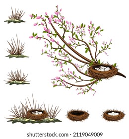 Vector image isolated on white background. A bird's nest in the branches of a bush or tree. Concept. Collection. Set. EPS 10