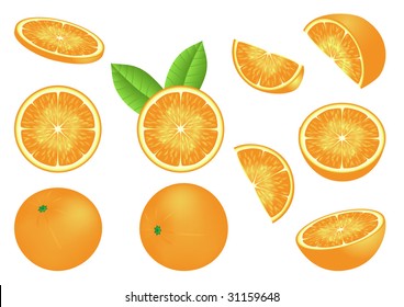 Vector image with isolated oranges