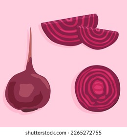 Imagen vectorial de una remolacha entera aislada, y rodajas cortadas. Productos para cocinar. Ingredientes de ensalada.