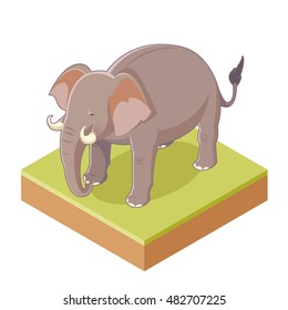 Vector image of the Isometric Gray Elephant