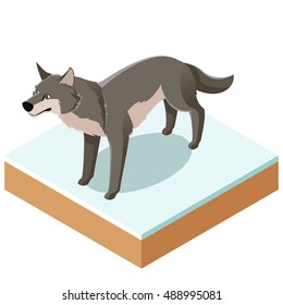 Vector image of the Isometric wolf icon with a square ground