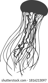 Vector image of an jellyfish