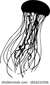 Vector image of an jellyfish