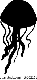 Vector image of an jellyfish