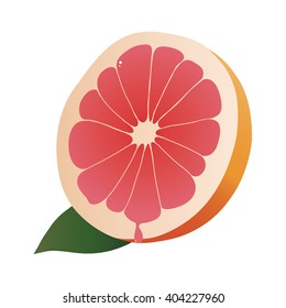 vector image of a juicy grapefruit half