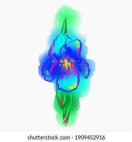 Vector image of juicy neon iris isolated on a white background. Composition for banner, florist, booklet, brochure, advertising, commercial, promotion. Hand drawn style print