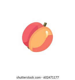 Vector image of juicy peach. Fruit illustration.