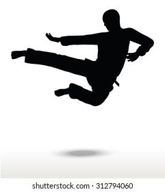 Vector image - karate silhouette, isolated on white background
