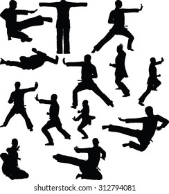 Vector image - karate silhouette, isolated on white background
