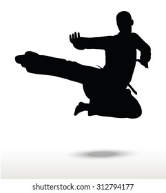 Vector image - karate silhouette, isolated on white background
