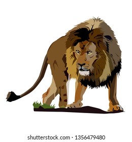 vector image of king of african savanna lion.