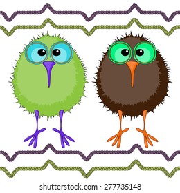 Vector image of kiwi birds in cartoon style