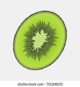 Vector image of kiwi fruit. Icon of tropical exotic fruit kiwi