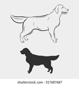 Vector image of a labrador