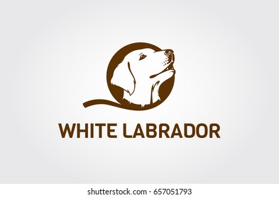 Vector image of an Labrador dog head on white background. Head cute dogs. Head puppy Labrador.