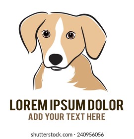 Vector image of an labrador on white background