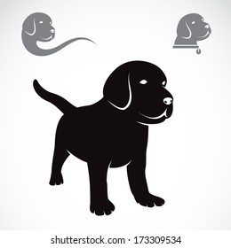 Vector image of  Labrador puppies on white background