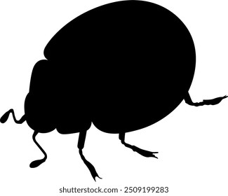Vector image of a ladybug