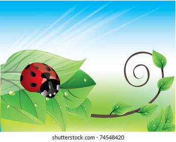 Vector Image ladybug on a leaf