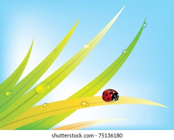 Vector Image ladybug on a leaf