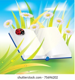 Vector Image ladybug on a leaf