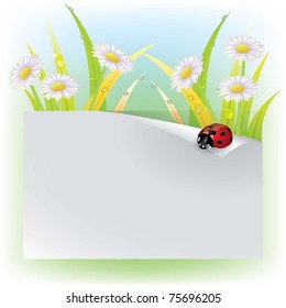 Vector Image ladybug on a leaf