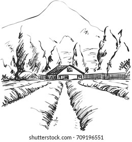 Vector image. Landscape with fields and house