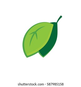 Vector image of a leaf symbolizing health and the environment.