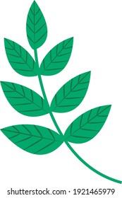 Vector image of a leaf of a tropical plant