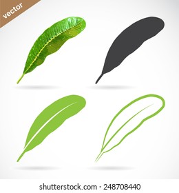 Vector image of leaves design on white background