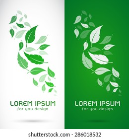 Vector image of an leaves design on white background and green background, Logo, Symbol