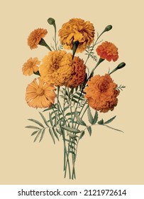 Vector image of leaves and flowers for botanical reference book in vintage style 