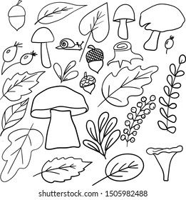 Vector, vector image, leaves, mushrooms, stump, snail, branches.