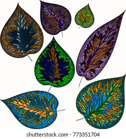 Vector image "leaves of plants, different shapes, stylish colors, ecological design
