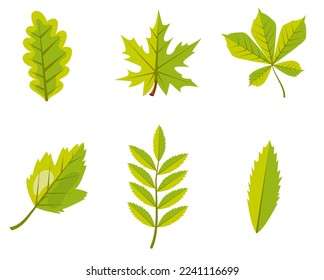 Vector image of leaves from a tree. Autumn leaf fall. A natural design element for web applications, website and social networks.