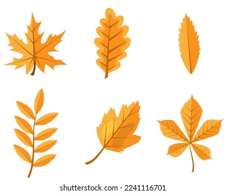 Vector image of leaves from a tree. Autumn leaf fall. A natural design element for web applications, website and social networks.