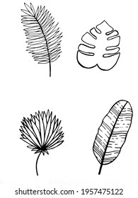 vector image of leaves, twigs on a white background. Decoration for cards and invitations. Doodles